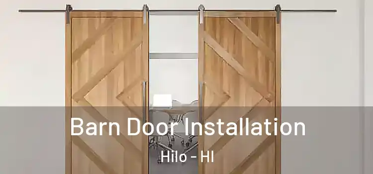 Barn Door Installation Hilo - HI