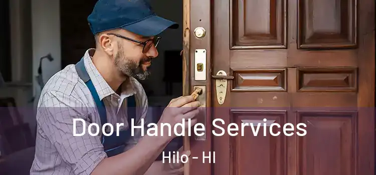  Door Handle Services Hilo - HI