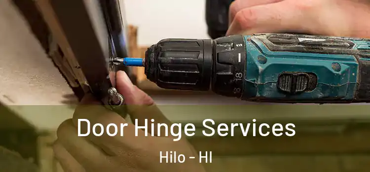 Door Hinge Services Hilo - HI