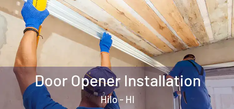 Door Opener Installation Hilo - HI
