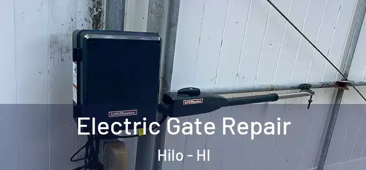 Electric Gate Repair Hilo - HI