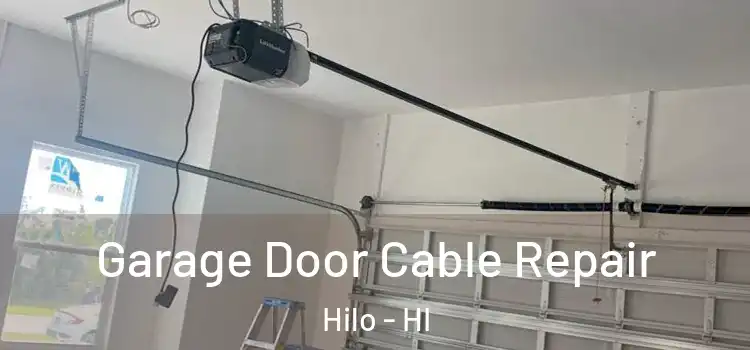  Garage Door Cable Repair Hilo - HI