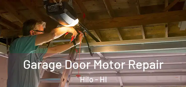  Garage Door Motor Repair Hilo - HI