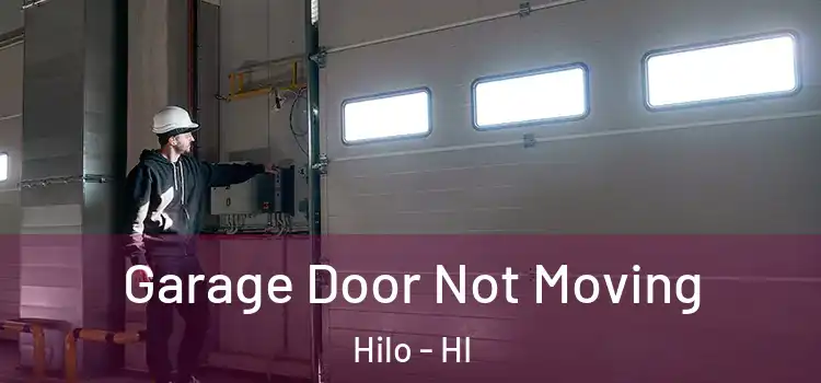  Garage Door Not Moving Hilo - HI