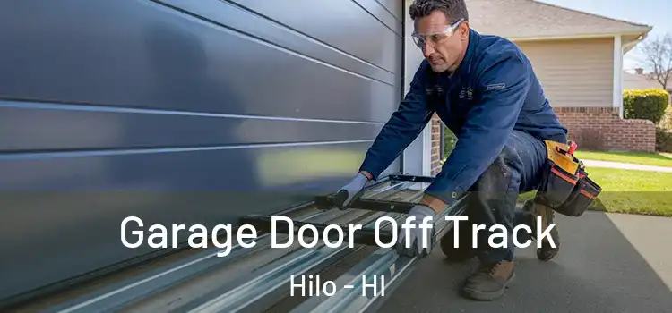  Garage Door Off Track Hilo - HI