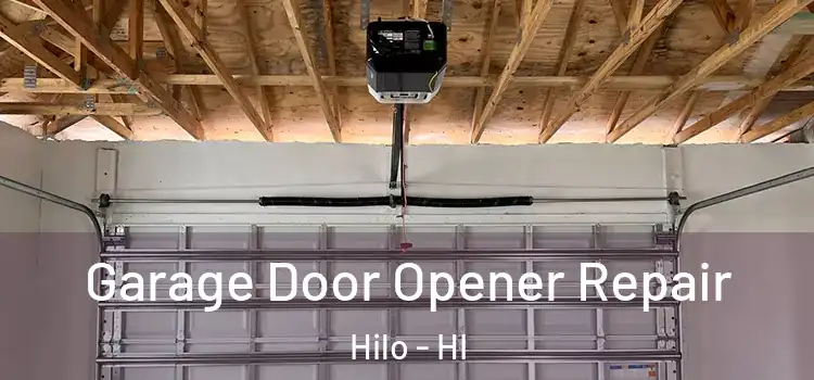  Garage Door Opener Repair Hilo - HI