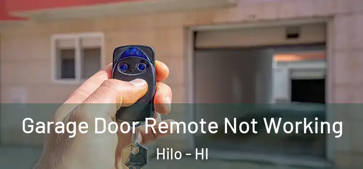  Garage Door Remote Not Working Hilo - HI