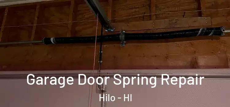  Garage Door Spring Repair Hilo - HI