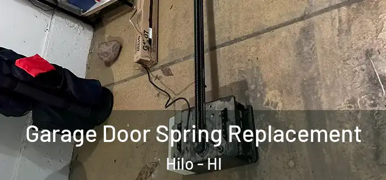  Garage Door Spring Replacement Hilo - HI