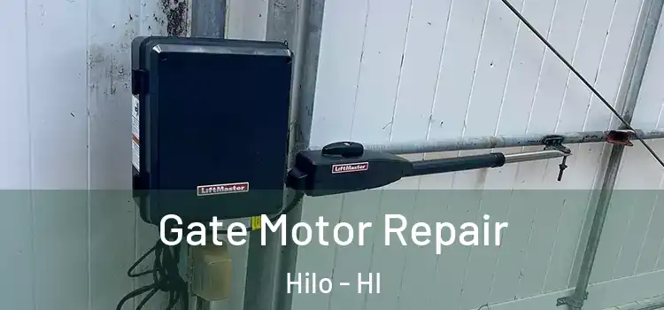 Gate Motor Repair Hilo - HI