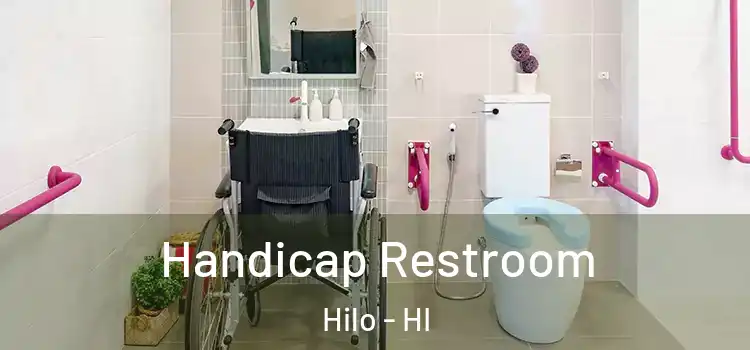 Handicap Restroom Hilo - HI