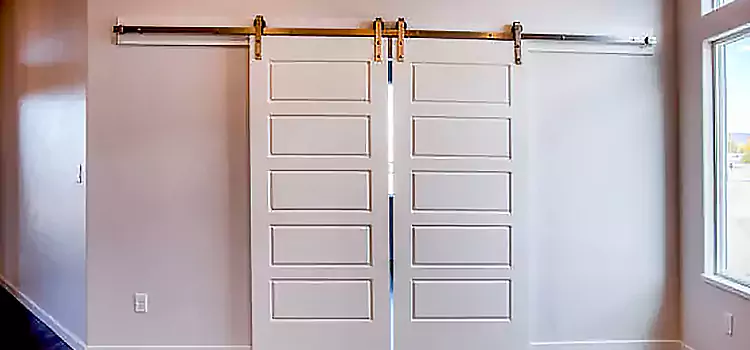 Glass Barn Door with Installation Hardware Kit Hilo