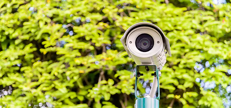Advanced Surveillance Solutions for Every Need in Hilo