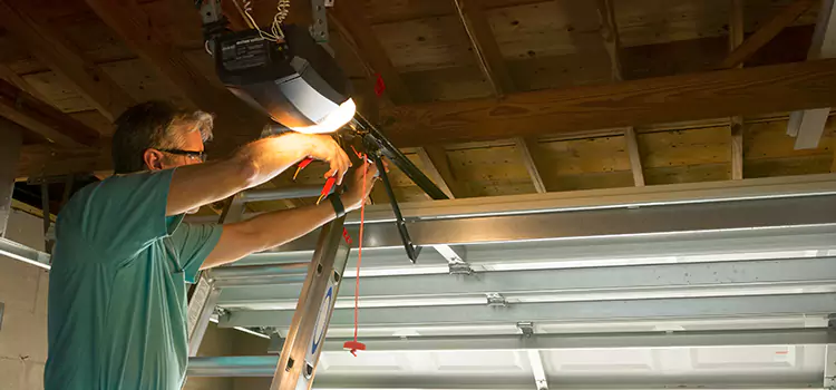Garage Door Opener Sales and Installation Hilo