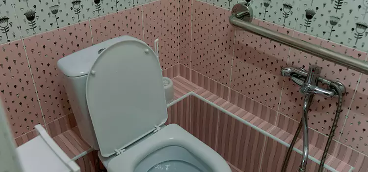 Meeting Diverse Needs With Accessible Restroom Solutions in Hilo, HI