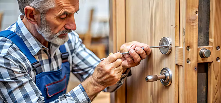 Mortise Replacement Lock Hilo