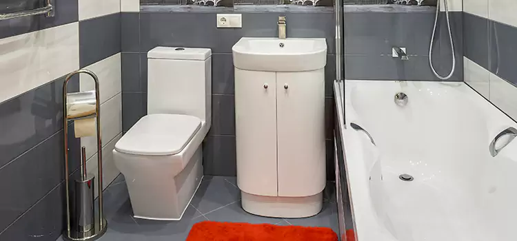 Hansgrohe Shaving Mirror Hilo