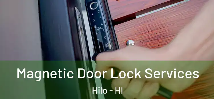 Magnetic Door Lock Services Hilo - HI