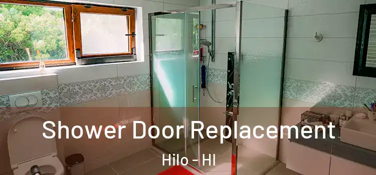 Shower Door Replacement Hilo - HI